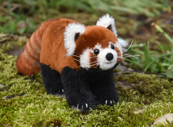 katzenär