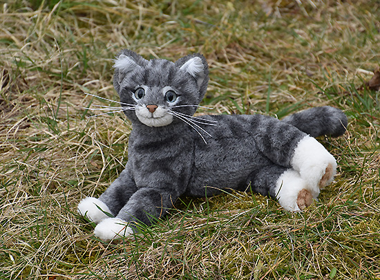 katze