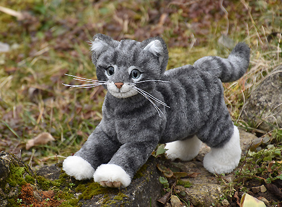 katze
