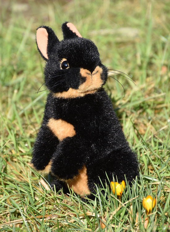 kaninchen