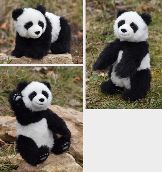 pandabaer