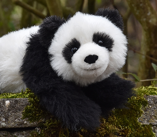 pandaär