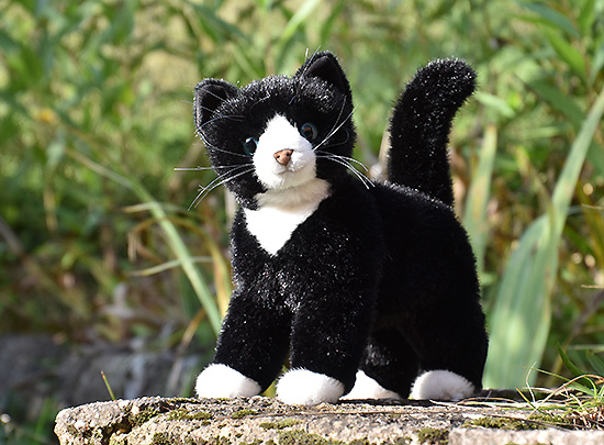 katze