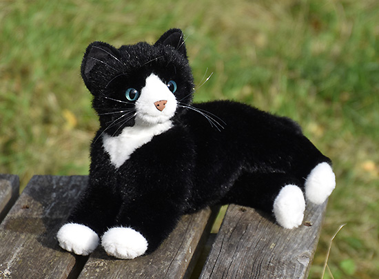 katze