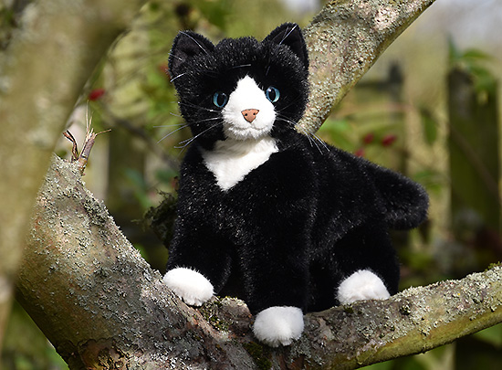katze