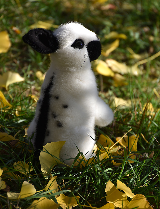 kaninchen